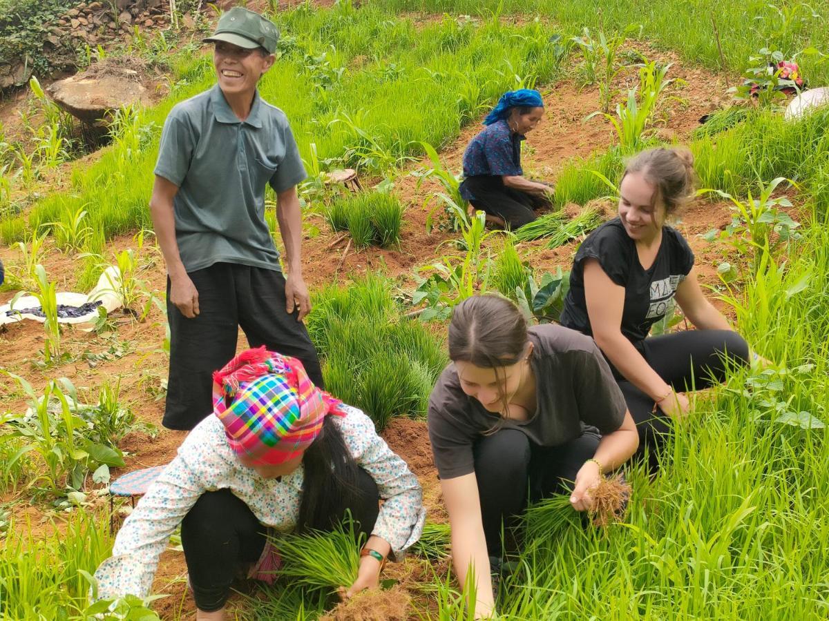 Indigenous Homestay- Trek- Food- Bus Mu Cang Chai Dış mekan fotoğraf