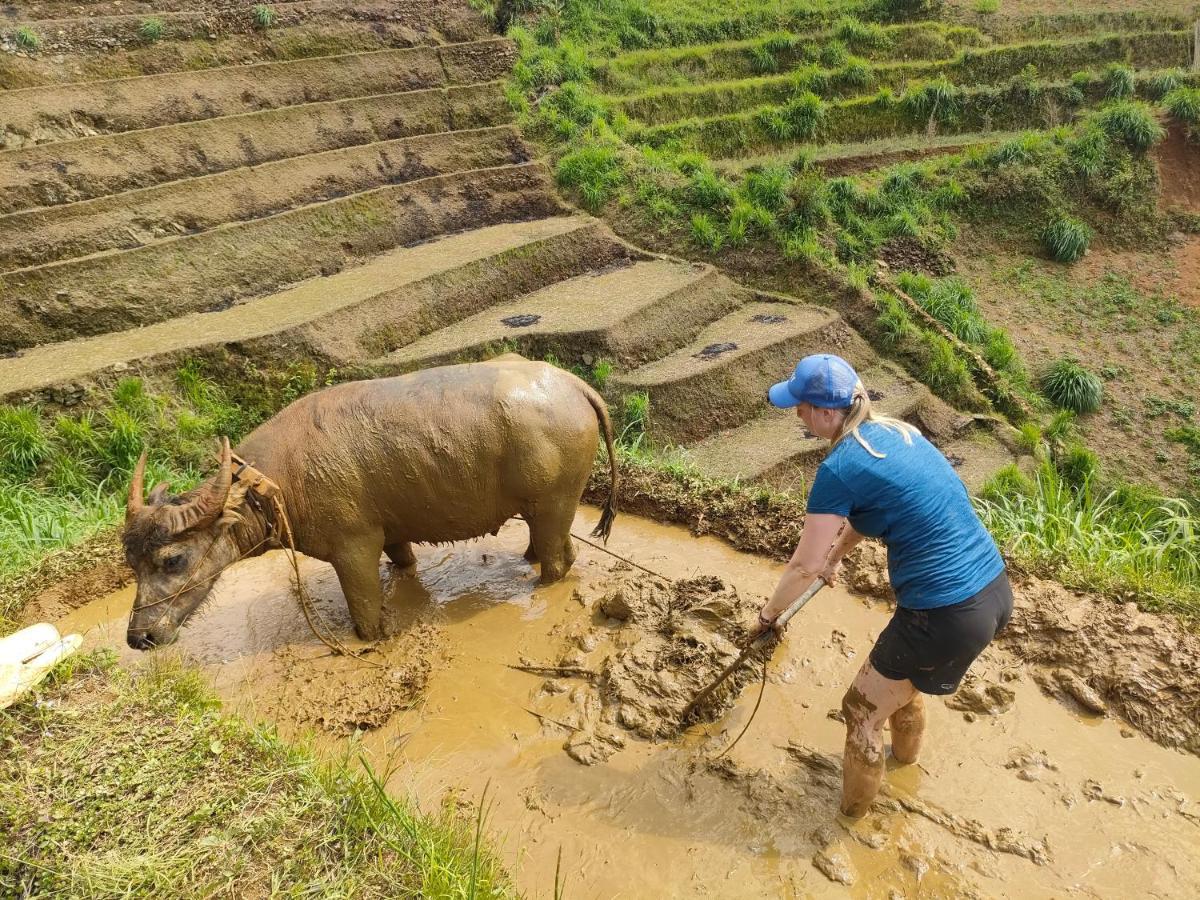 Indigenous Homestay- Trek- Food- Bus Mu Cang Chai Dış mekan fotoğraf