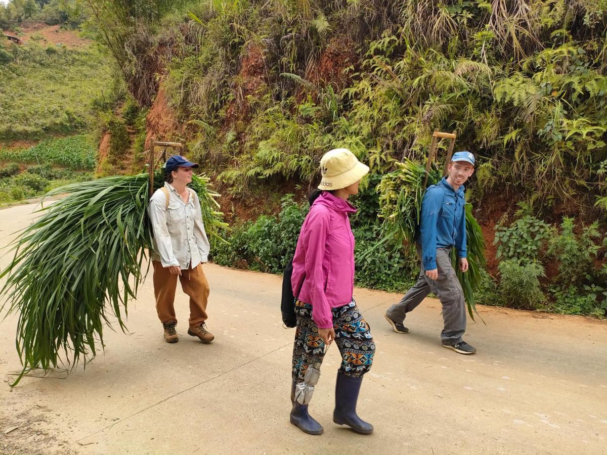 Indigenous Homestay- Trek- Food- Bus Mu Cang Chai Dış mekan fotoğraf