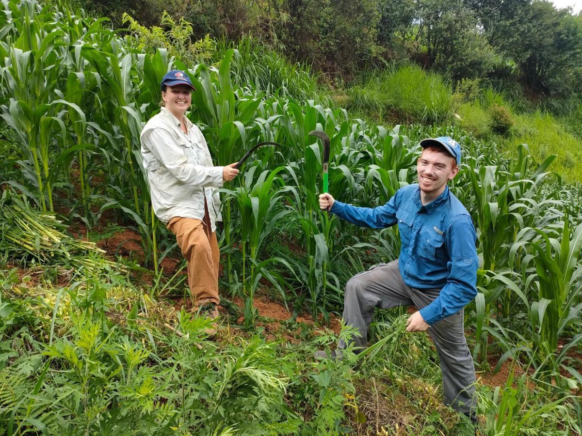 Indigenous Homestay- Trek- Food- Bus Mu Cang Chai Dış mekan fotoğraf