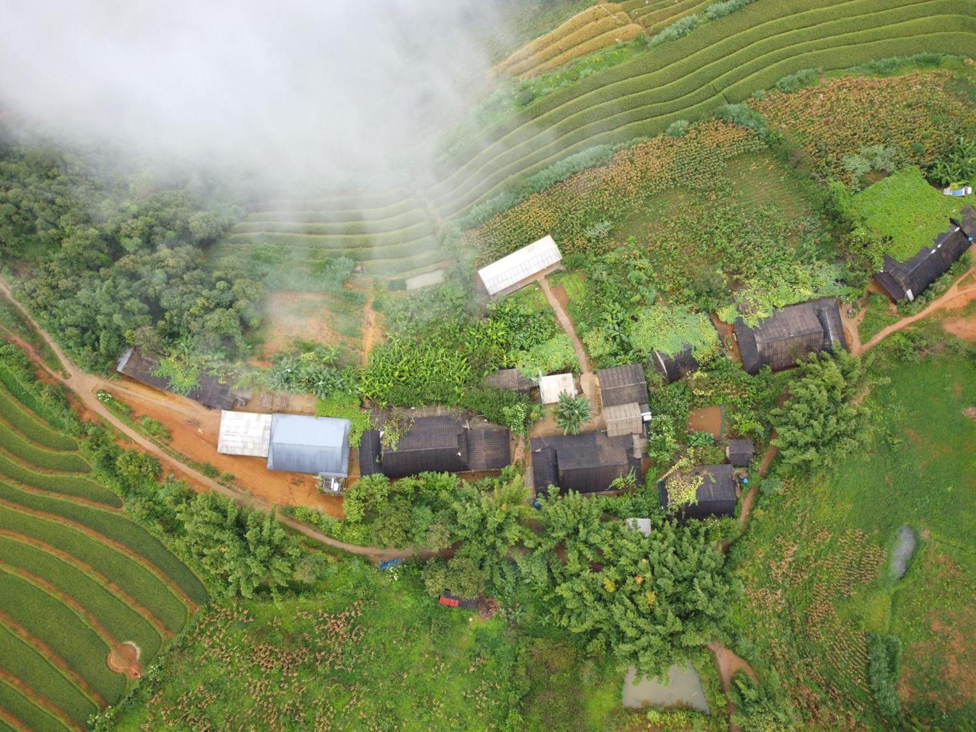 Indigenous Homestay- Trek- Food- Bus Mu Cang Chai Dış mekan fotoğraf