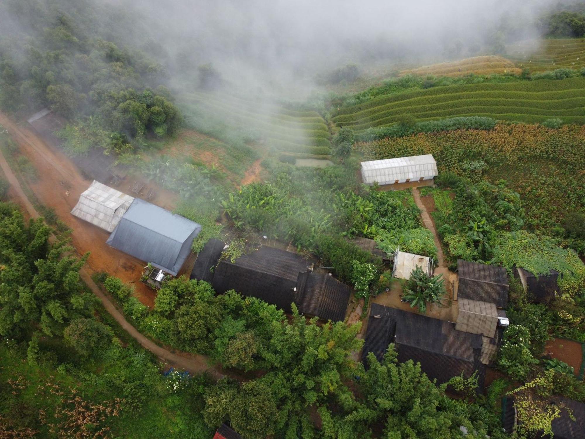 Indigenous Homestay- Trek- Food- Bus Mu Cang Chai Dış mekan fotoğraf