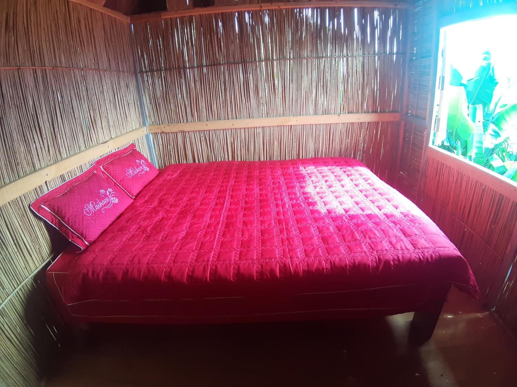 Indigenous Homestay- Trek- Food- Bus Mu Cang Chai Oda fotoğraf