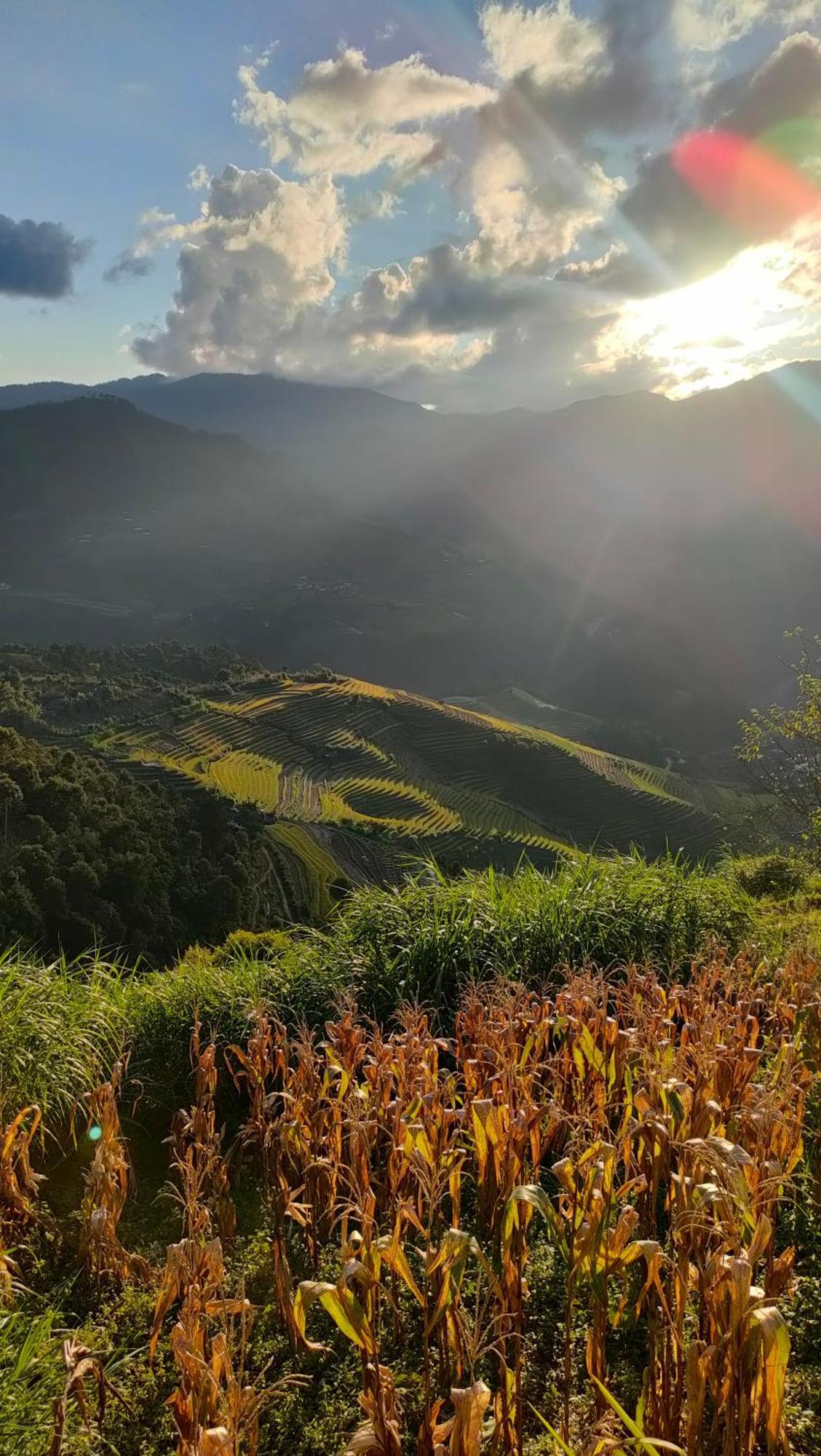 Indigenous Homestay- Trek- Food- Bus Mu Cang Chai Dış mekan fotoğraf