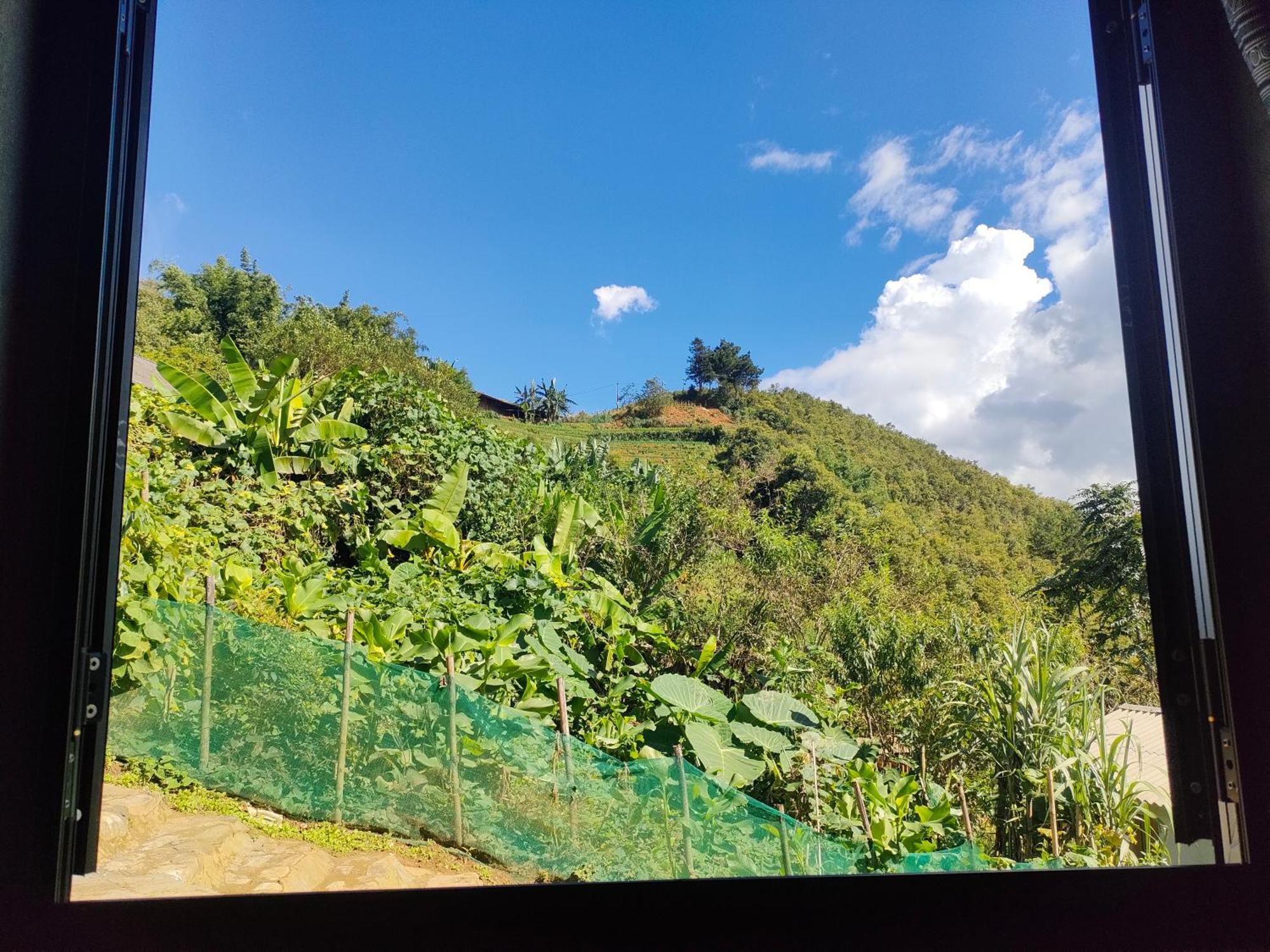 Indigenous Homestay- Trek- Food- Bus Mu Cang Chai Oda fotoğraf