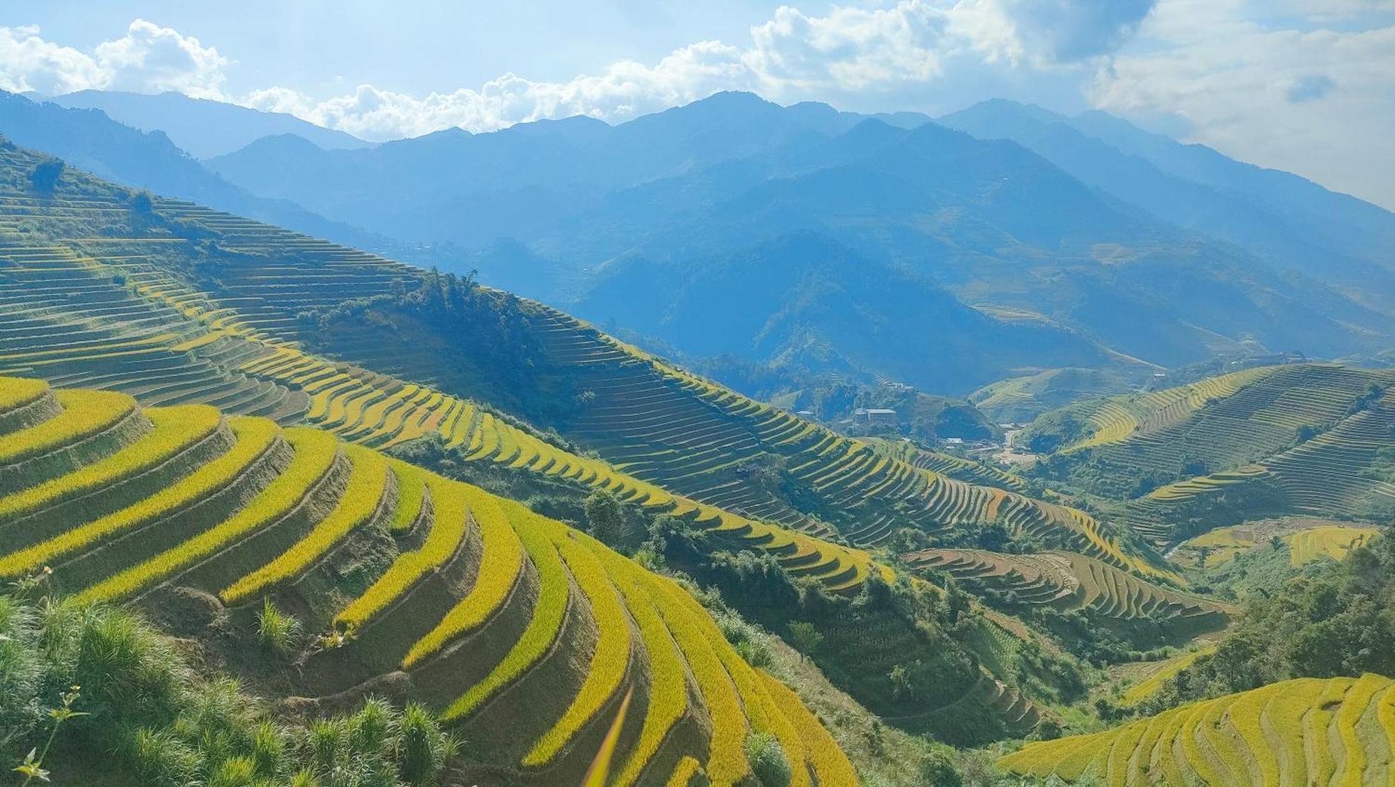 Indigenous Homestay- Trek- Food- Bus Mu Cang Chai Dış mekan fotoğraf