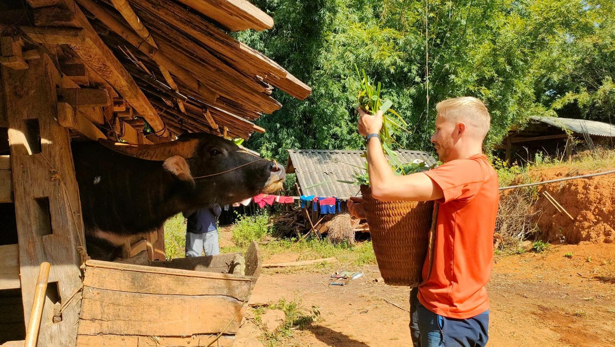 Indigenous Homestay- Trek- Food- Bus Mu Cang Chai Dış mekan fotoğraf