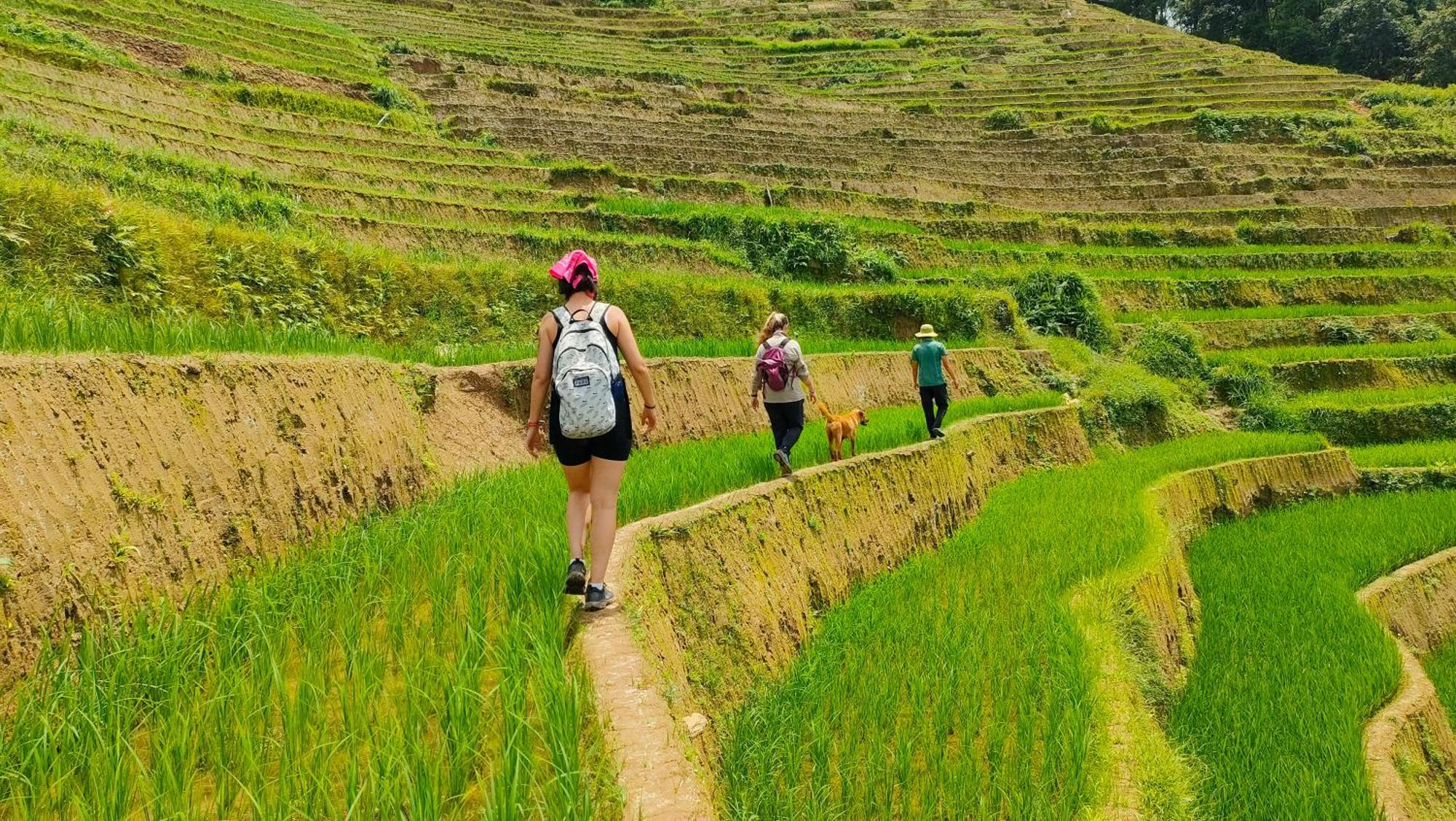 Indigenous Homestay- Trek- Food- Bus Mu Cang Chai Dış mekan fotoğraf